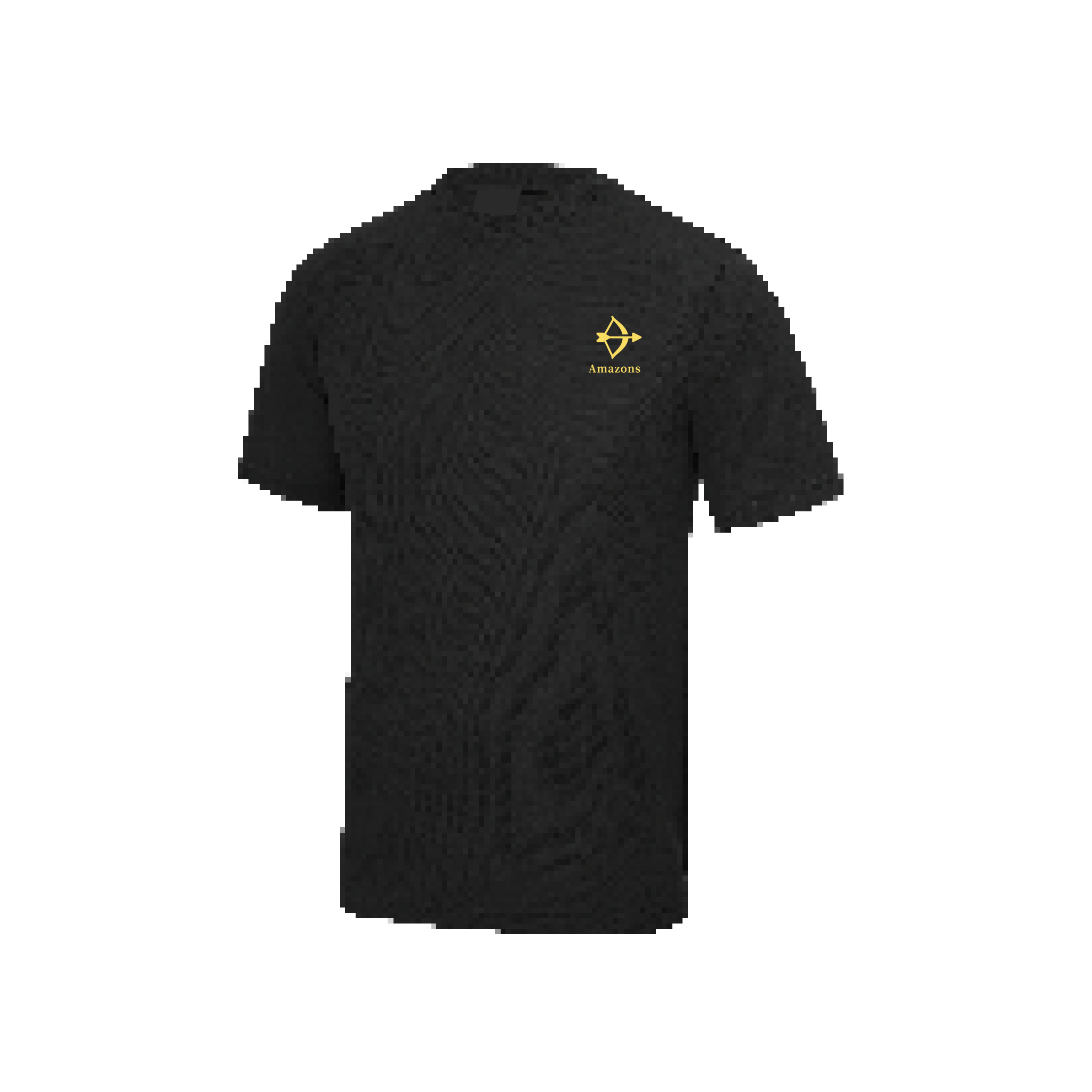 Jesus College Amazons Gym T-shirts