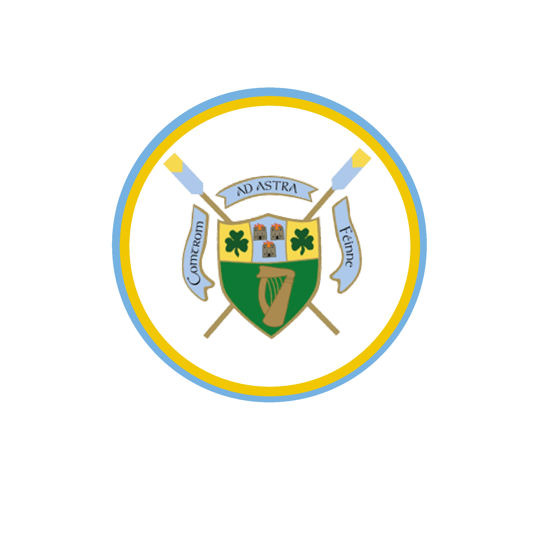 University College Dublin Ladies Patch