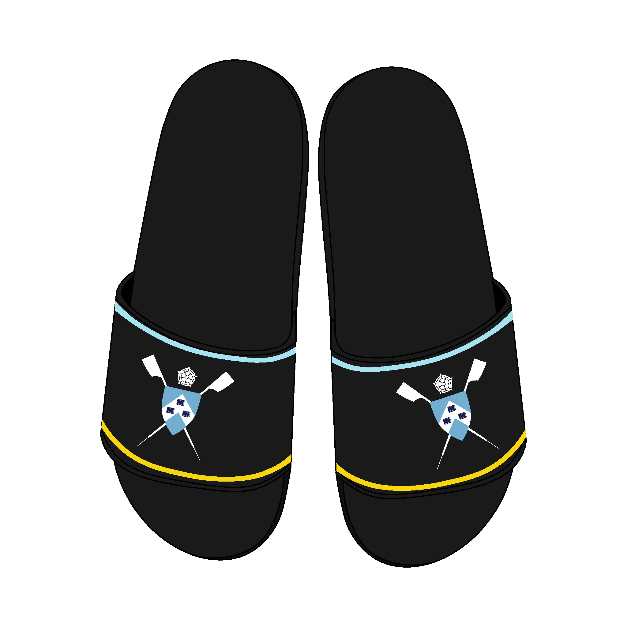 IN STOCK University of York BC Slides