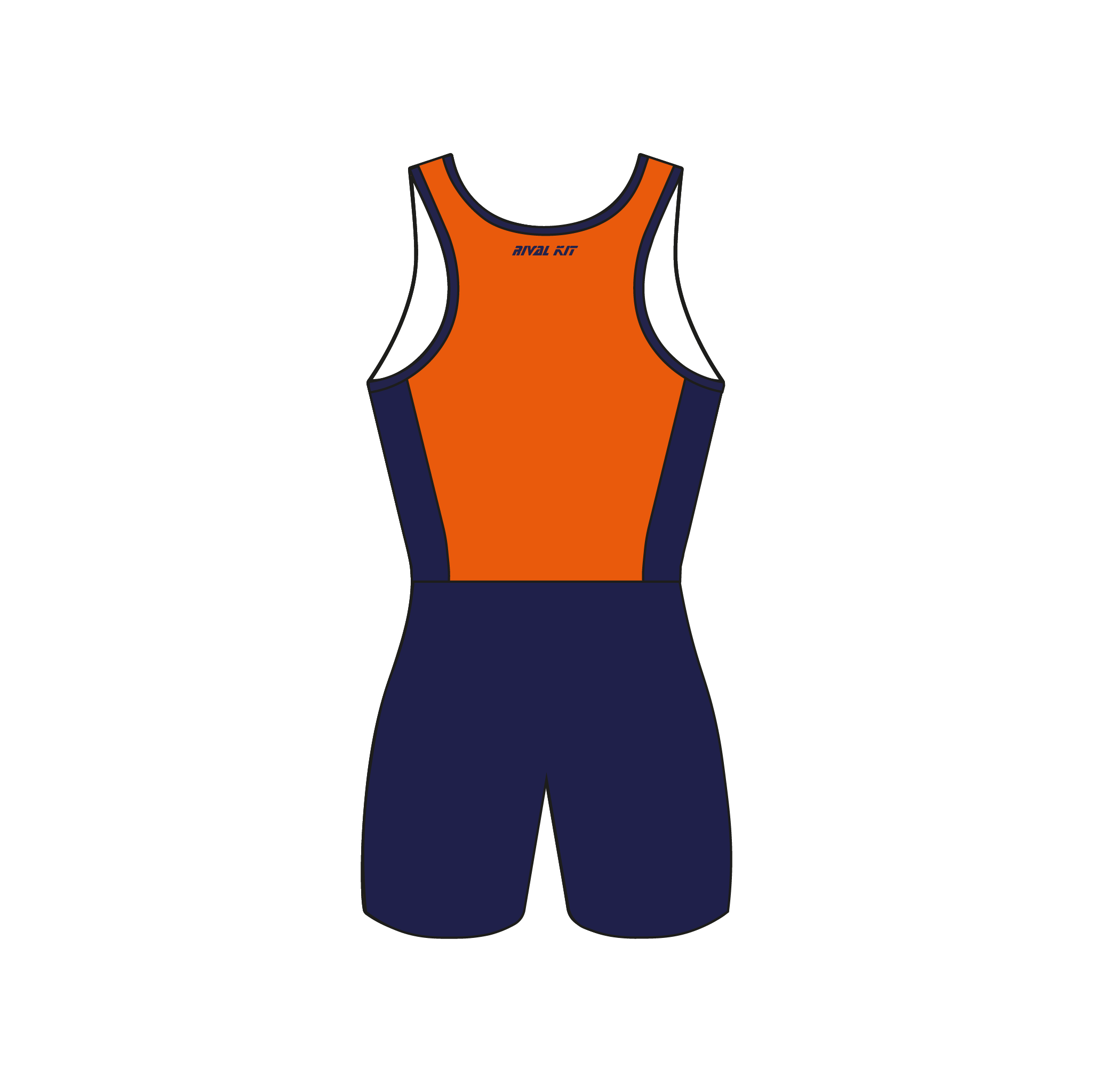 Bucknell University 201 AIO