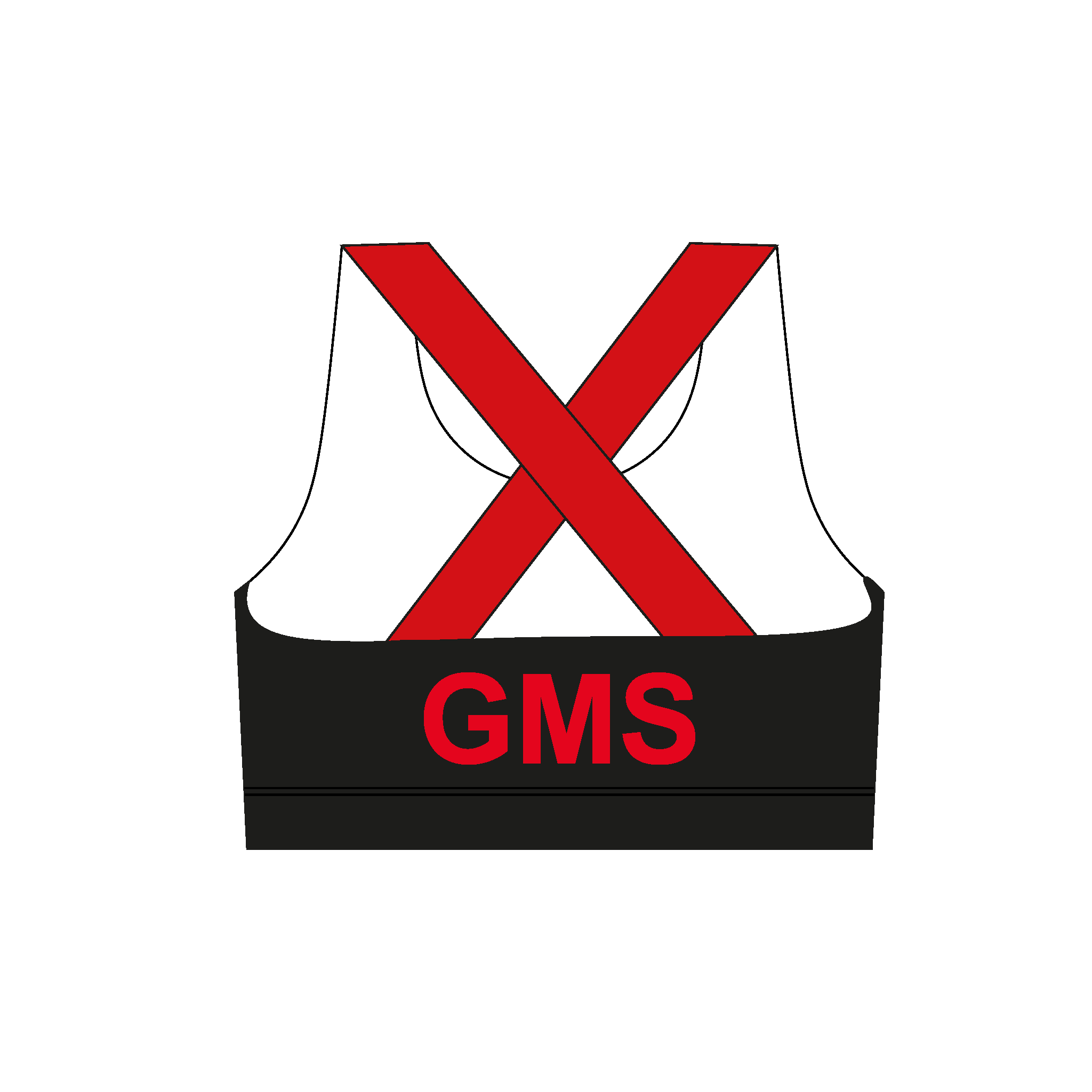 Great Marlow School BC Sports Bra
