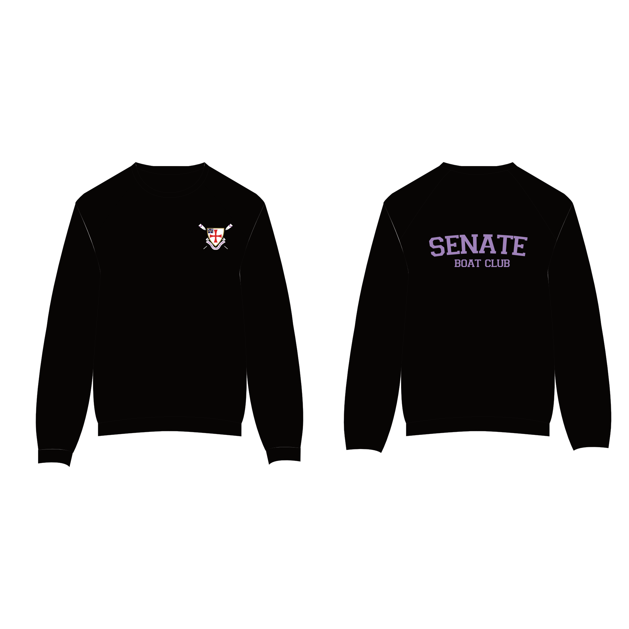 SWEAT-SENATE-1