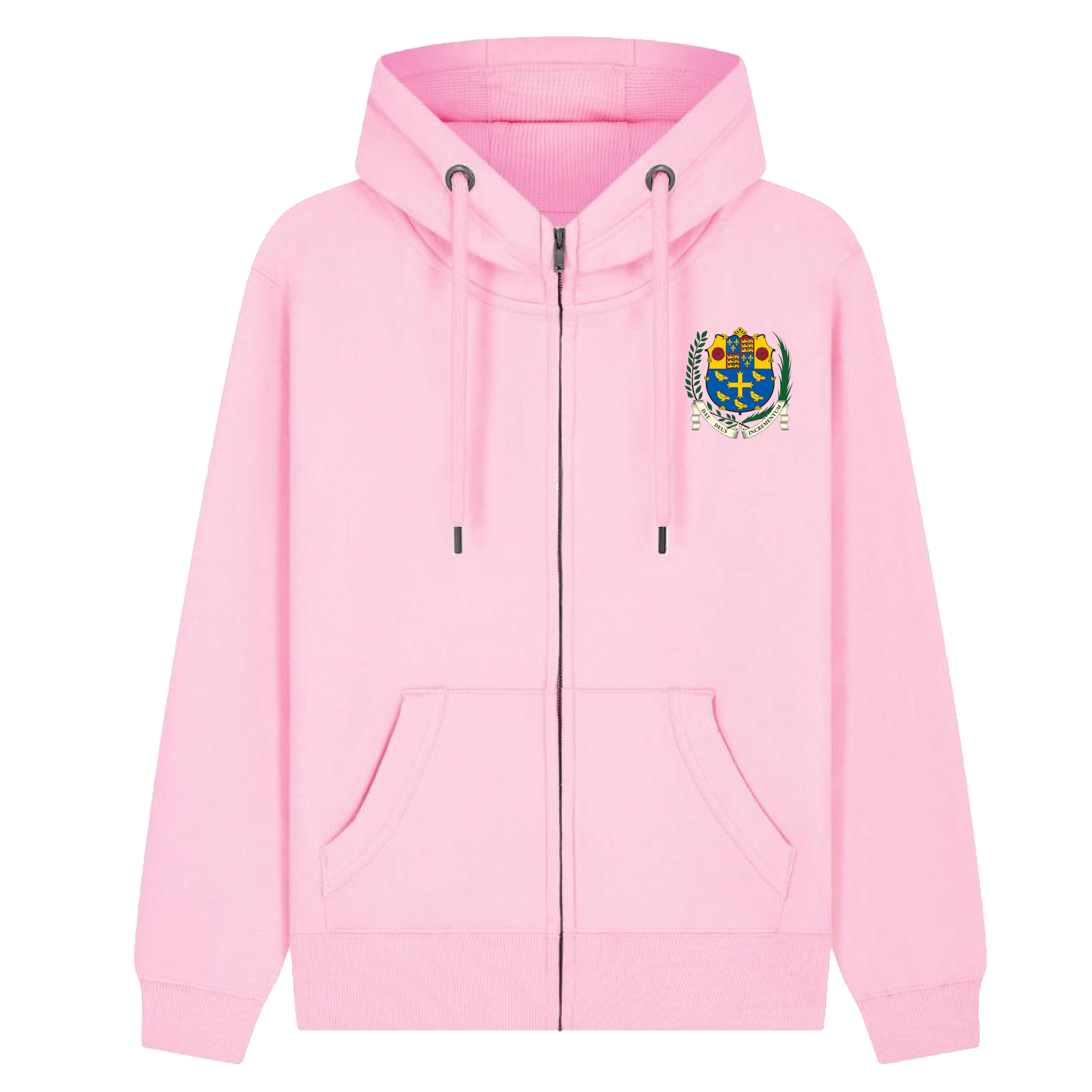 Westminster School's swimming Hoodie PINK