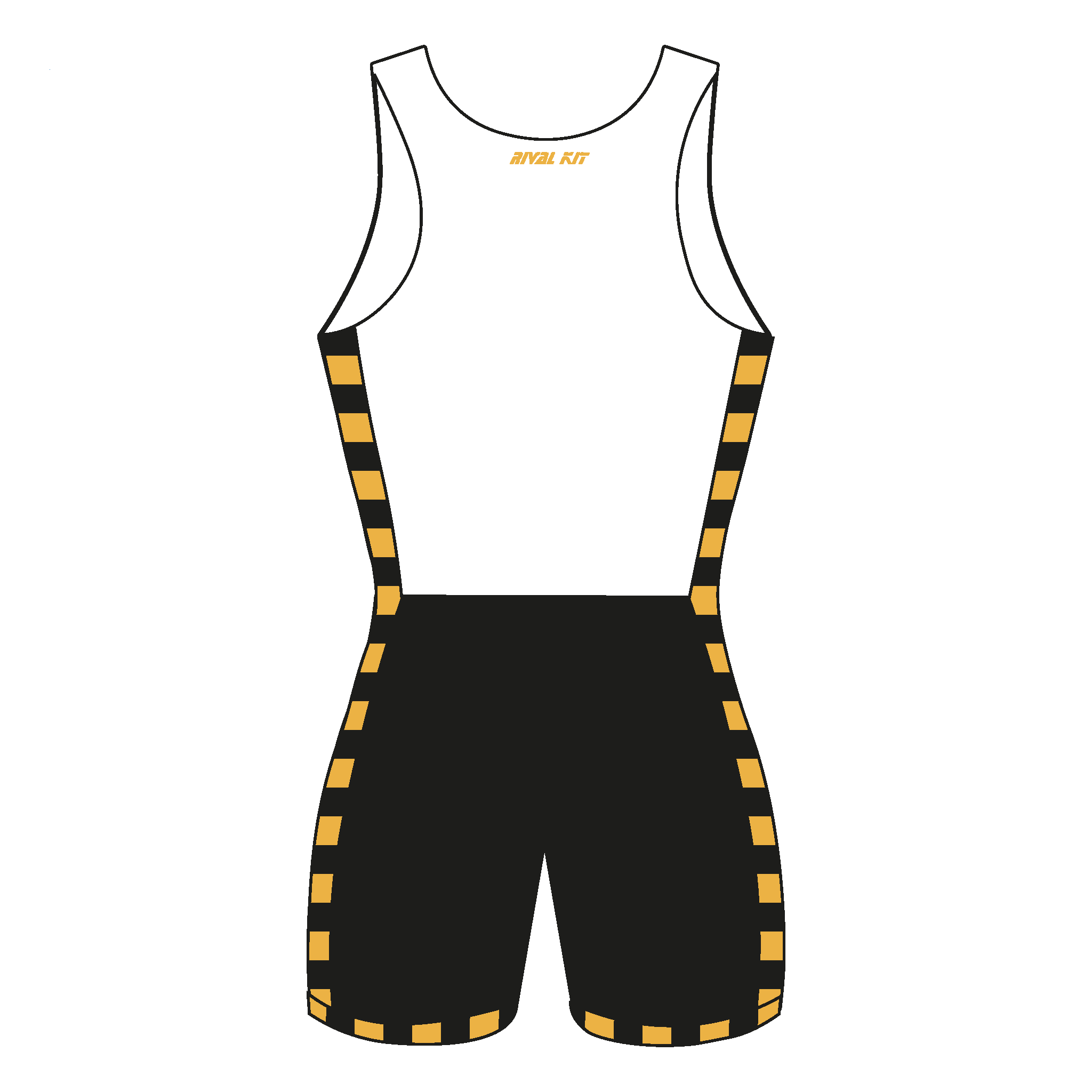 RBAI Rowing Club Training AIO 2