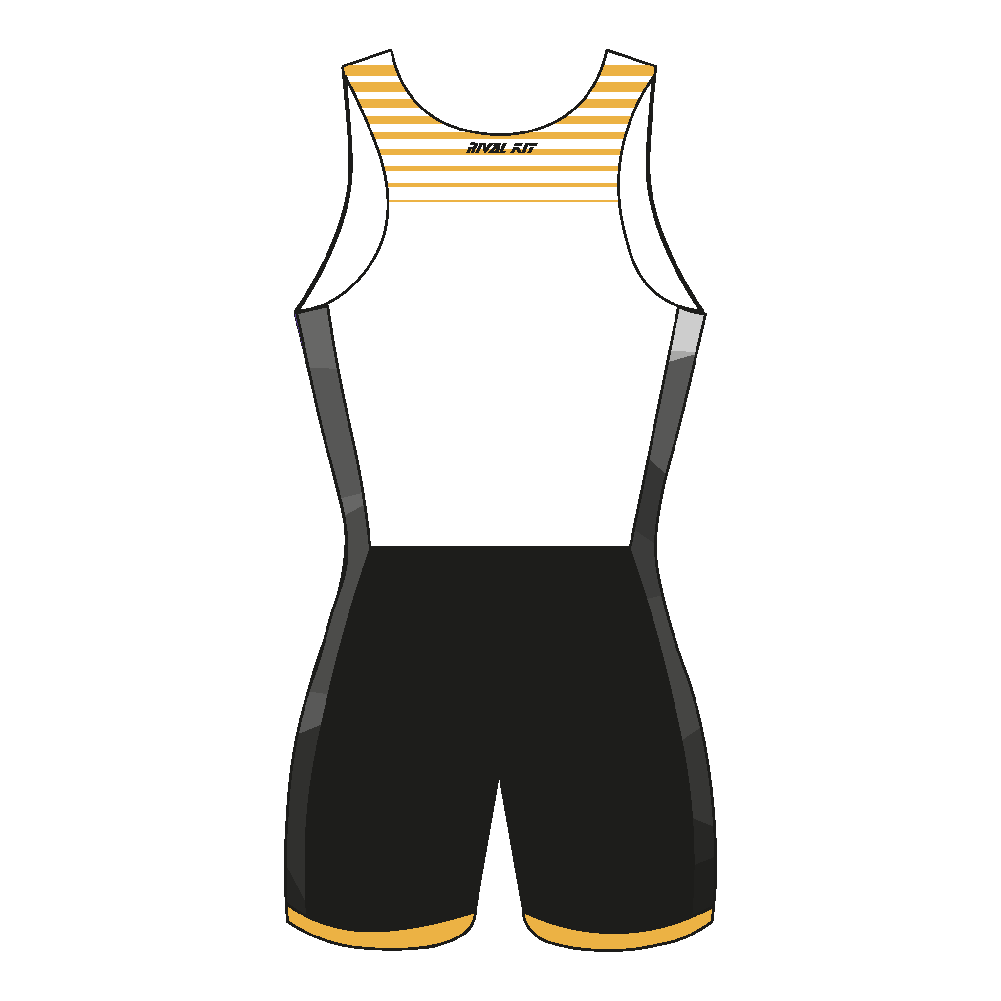 RBAI Rowing Club Training AIO