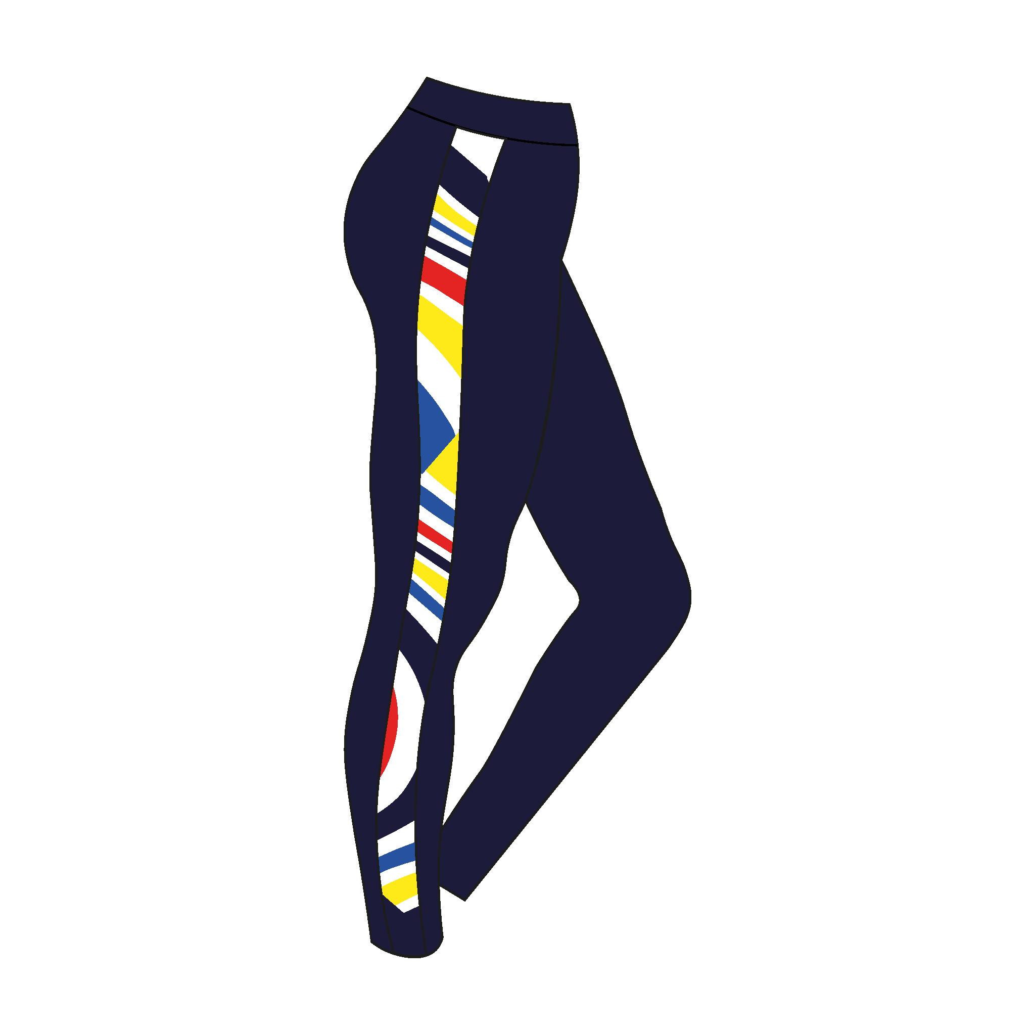 Birmingham RC Leggings 2