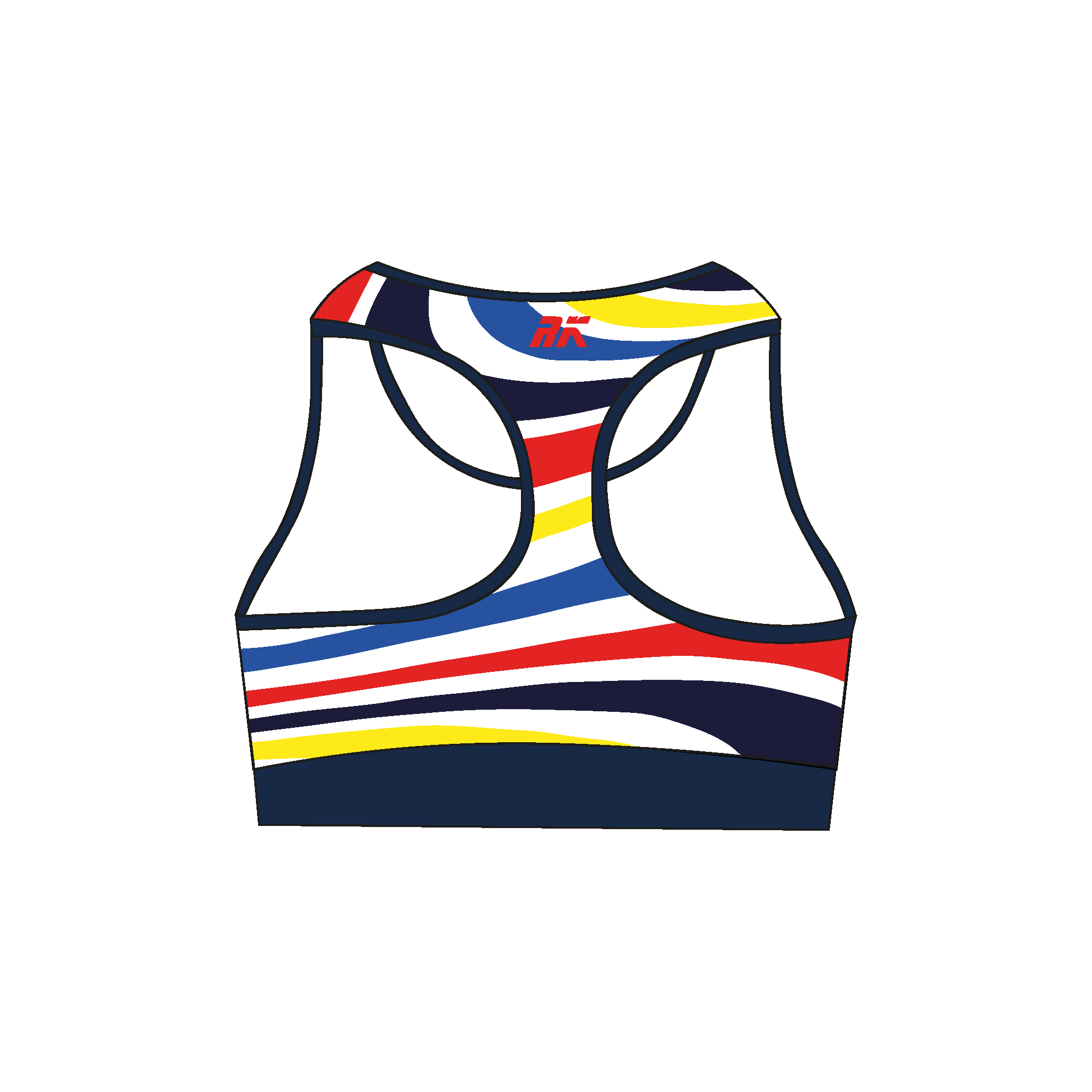 Birmingham RC Sports Bra 2