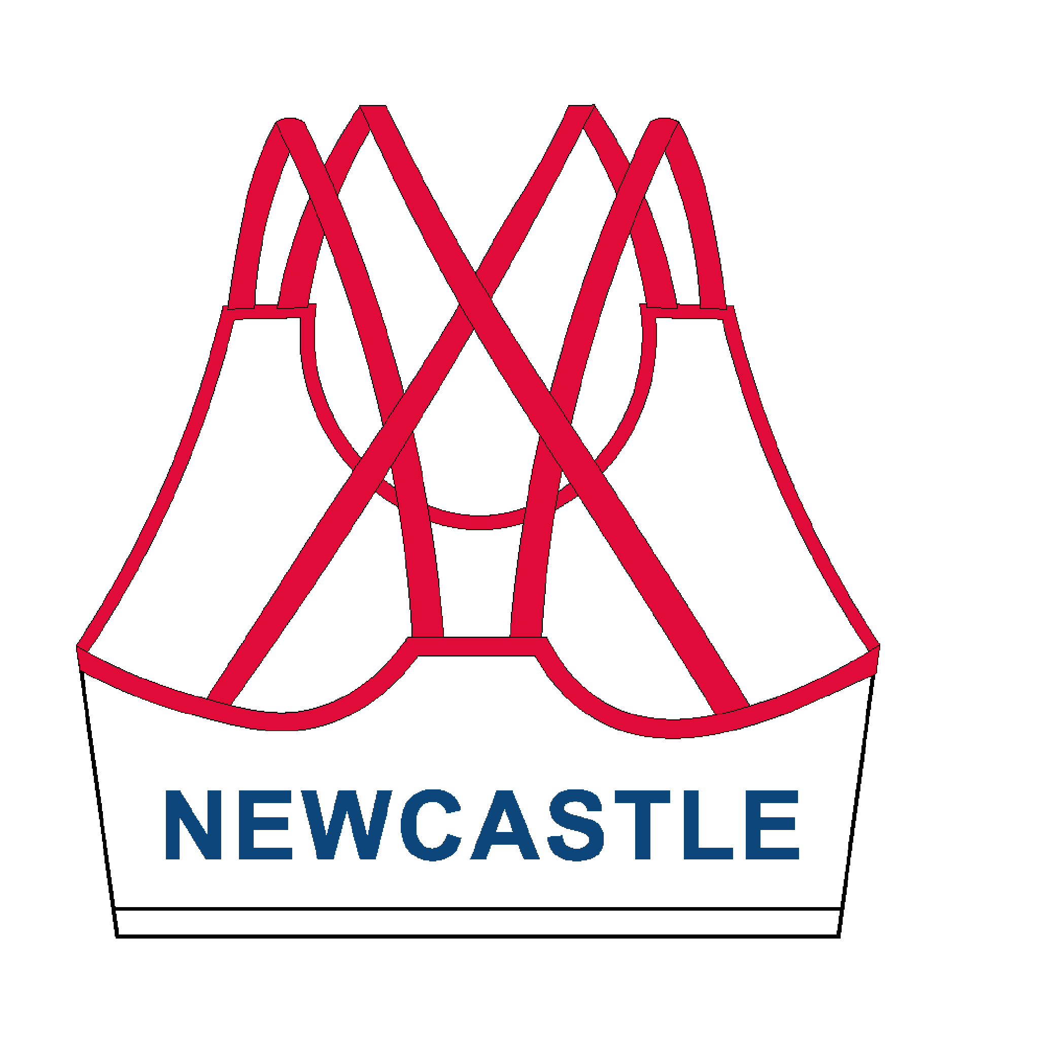 Newcastle University BC Sports Bra