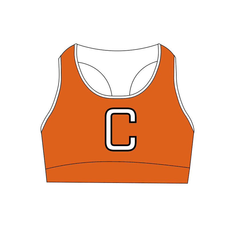 Chicago Training Center Sports Bra