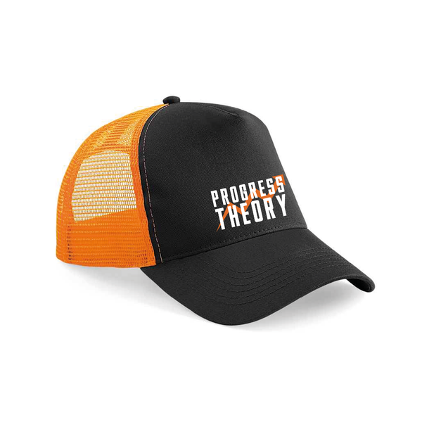 The Progress Theory Cap 2