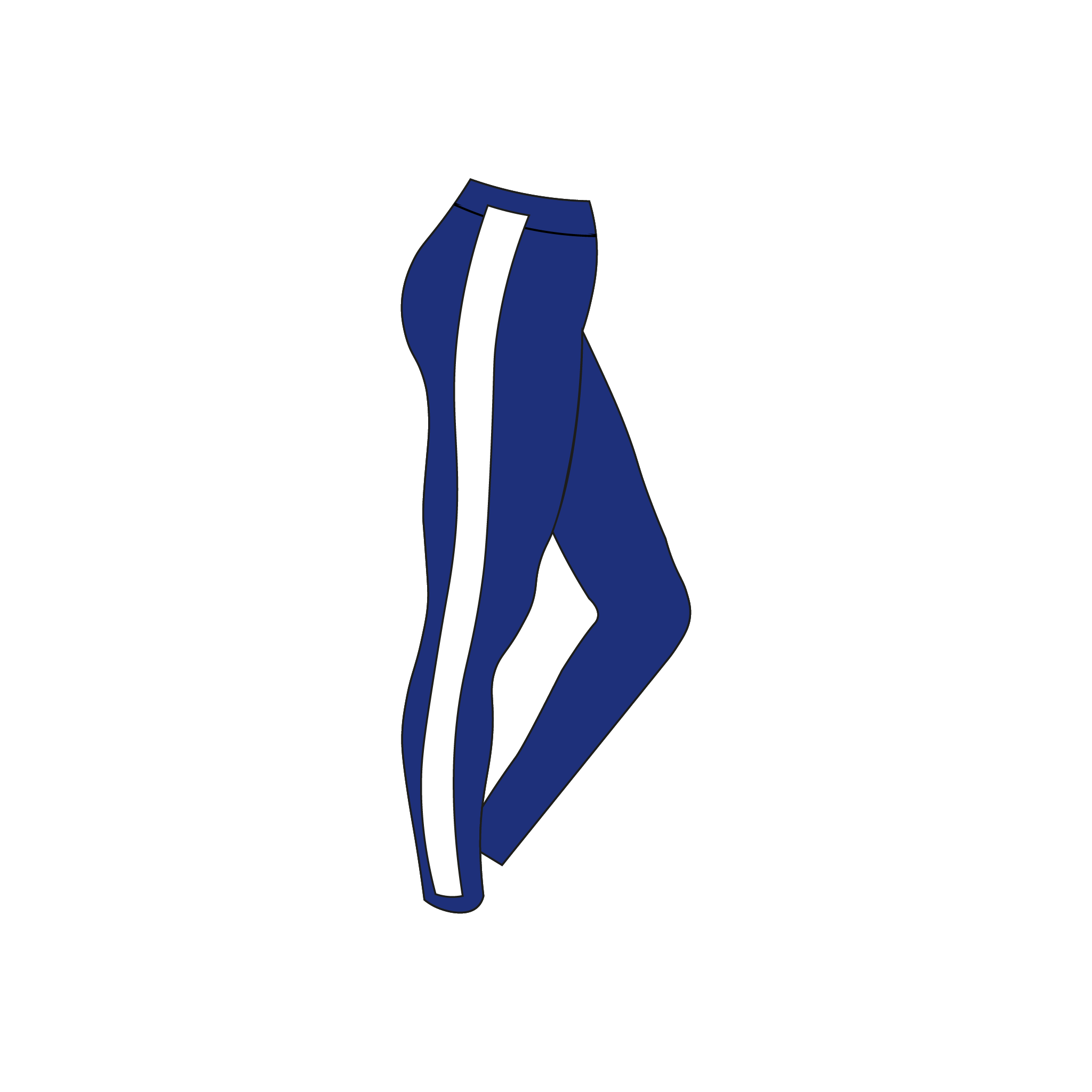 Berwick ARC leggings
