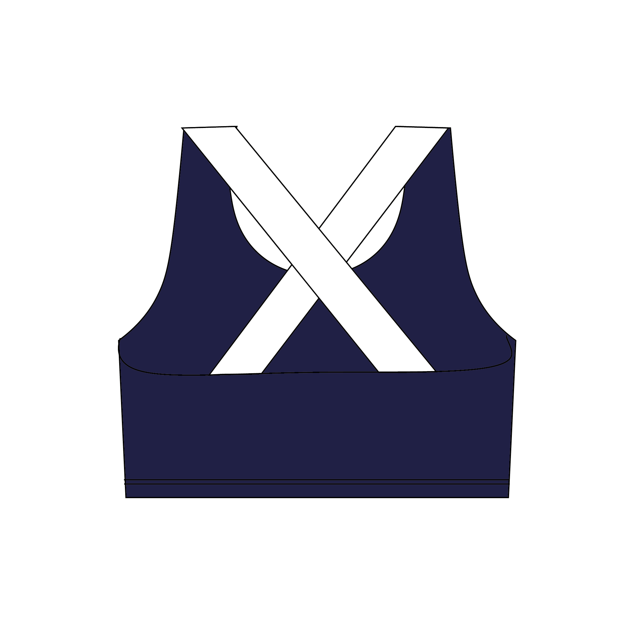 Dartmouth ARC Sports Bra