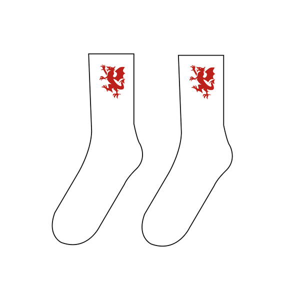 Aberystwyth University Boat Club Dragon Socks