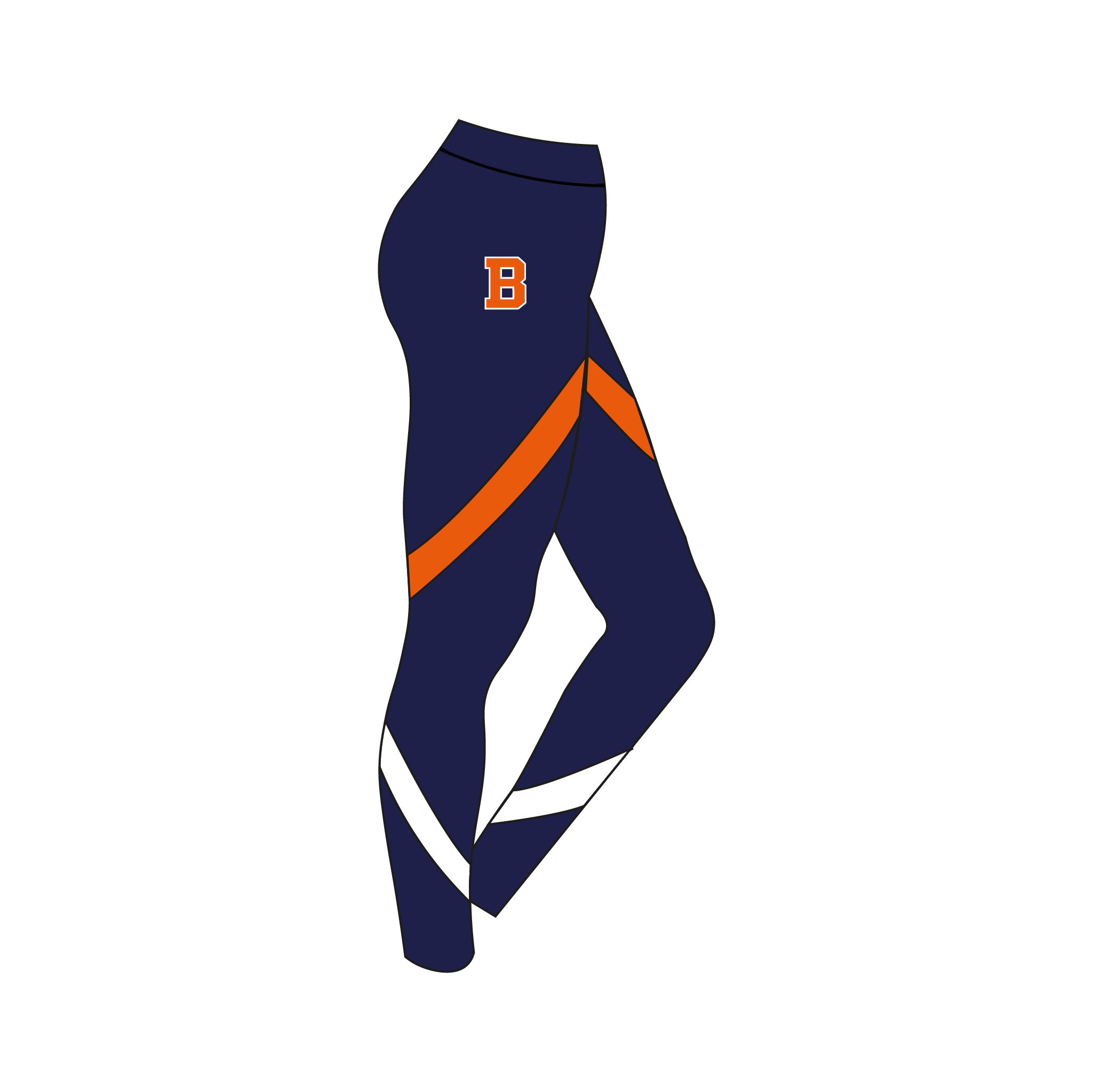 Bucknell University leggings