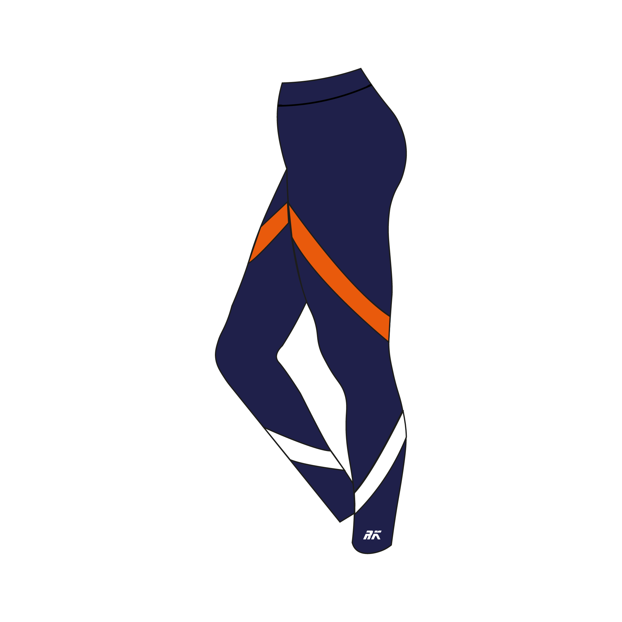 Bucknell University leggings