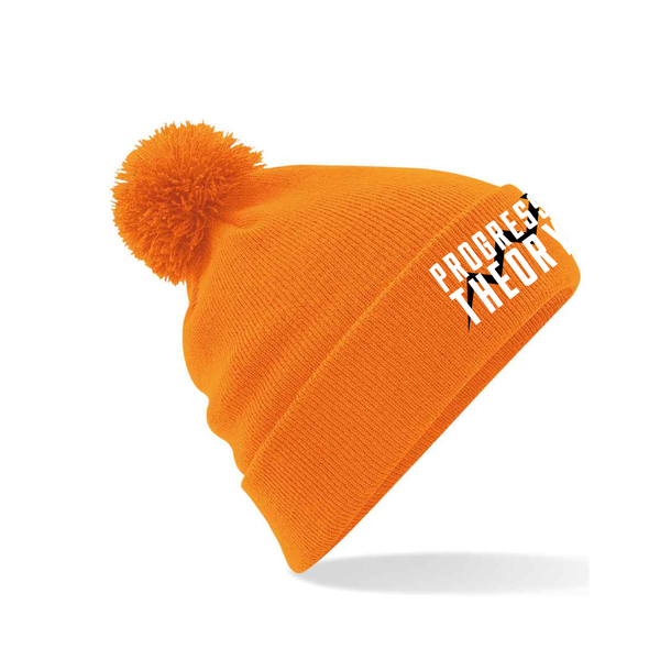 The Progress Theory Bobble hat 2