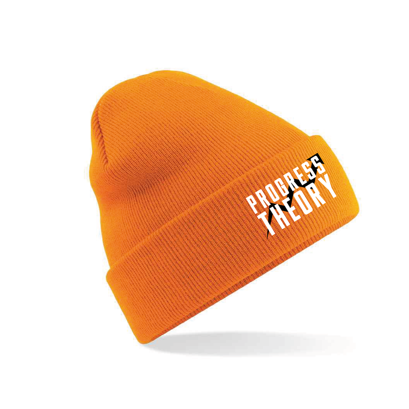 The Progress Theory Beanie 2