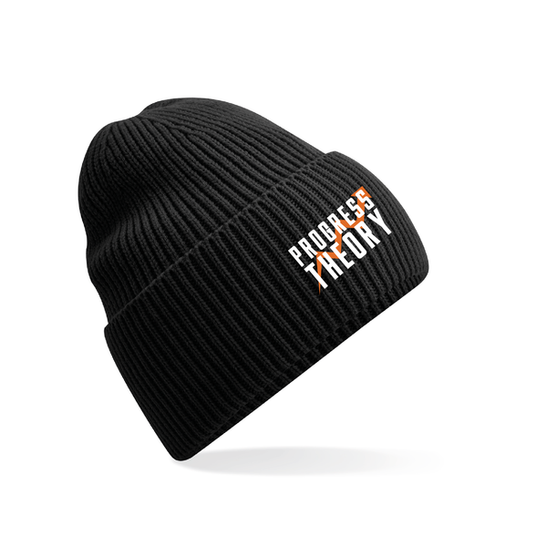 The Progress Theory Beanie