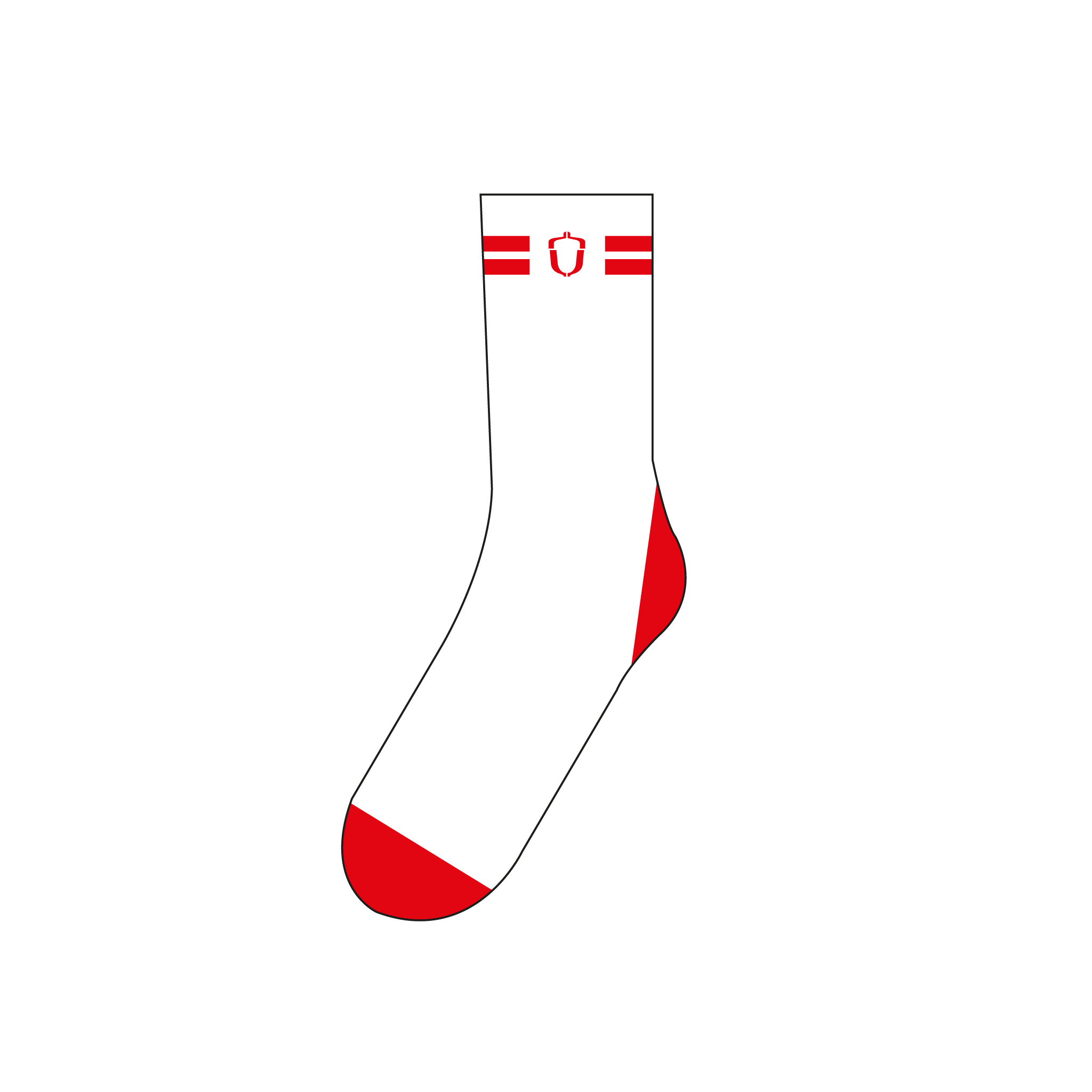Hartpury University & College BC Socks