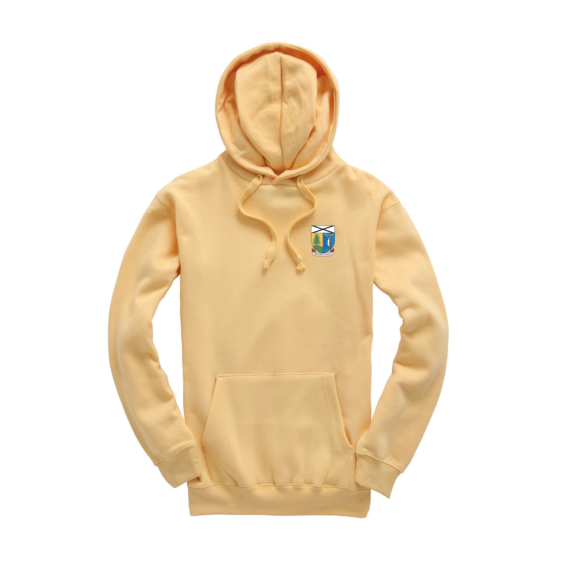 T2 Lomond Hoodies 2021
