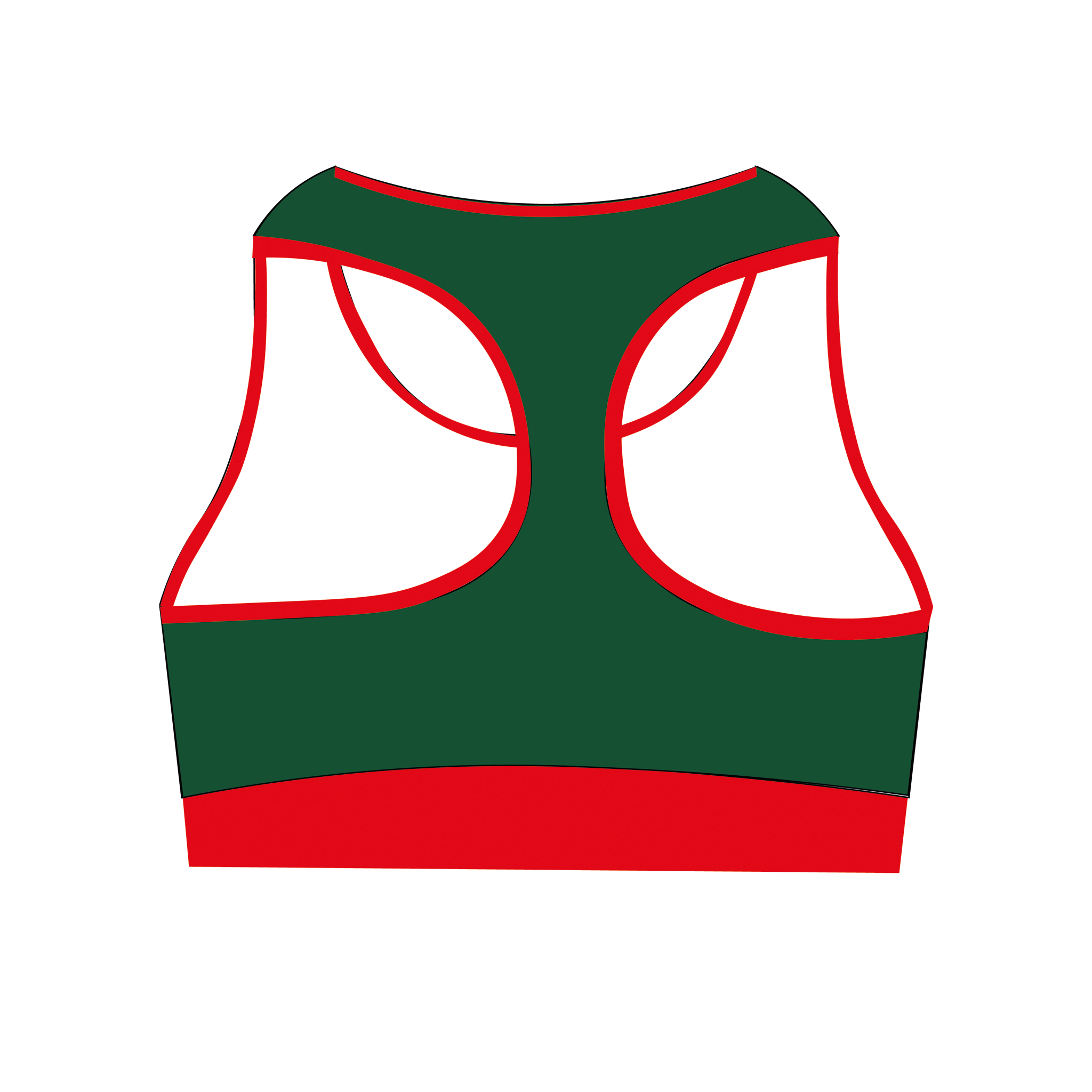 Inverness Sports Bra